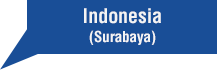 Indonesia agent ( PT.SHINDU KUSUMA )